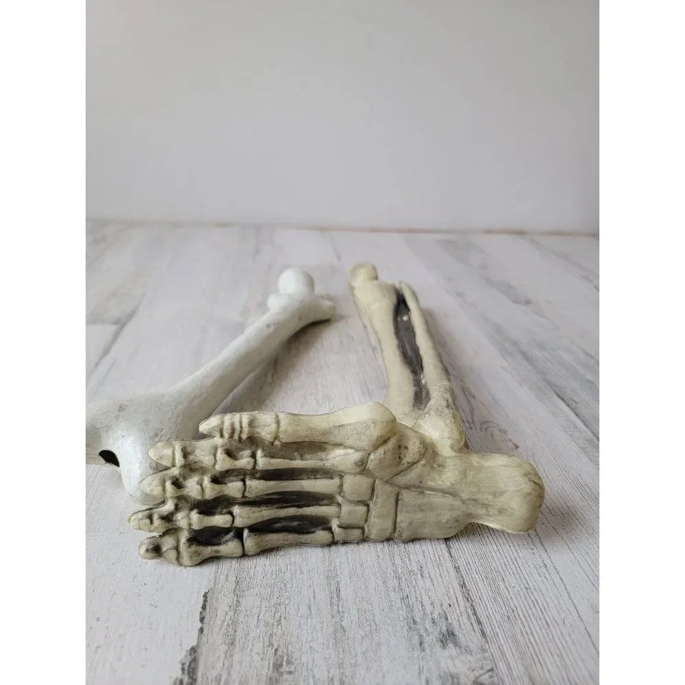 Skeleton leg bone‎ set prop Halloween decor zombie
